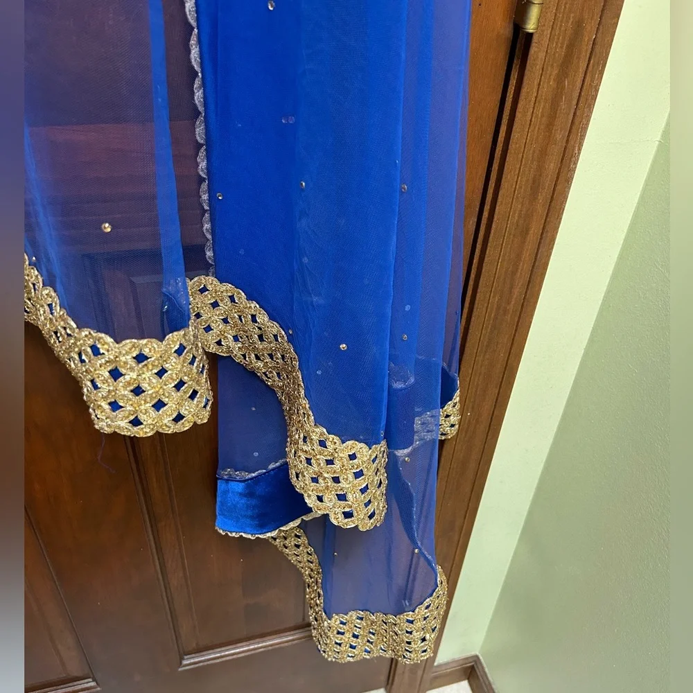 Royal Blue Net Dupatta with Gold Lace Border - Picture 4 of 10